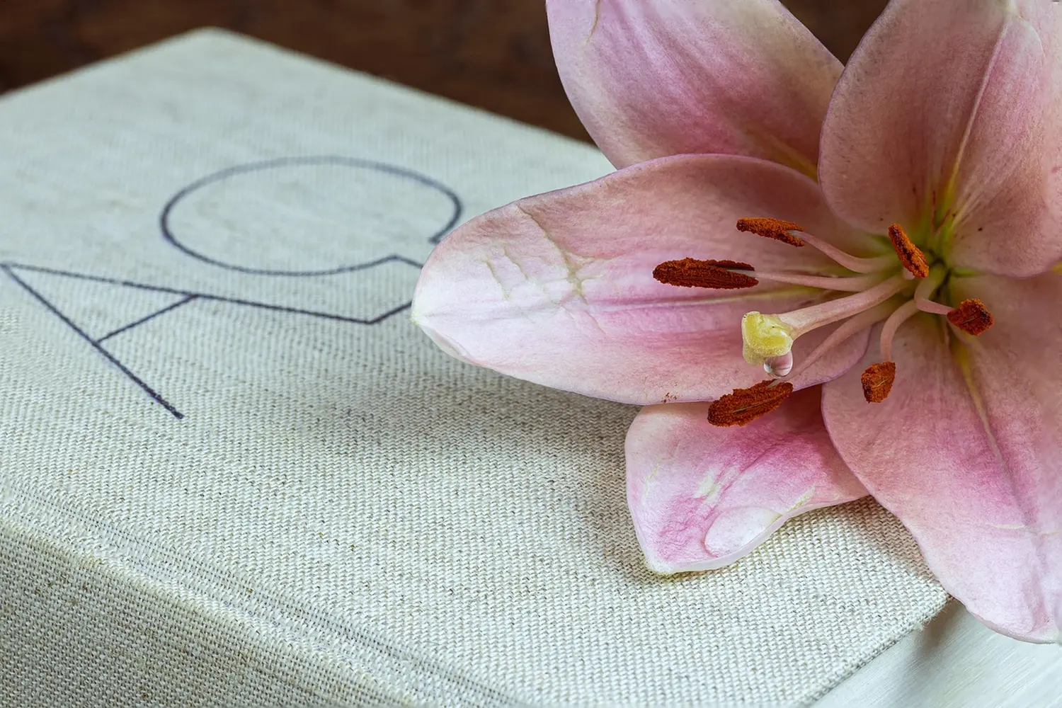 Blumen, Frühling, Vektorhintergrund, Gartenrand, Blumenbanner, Sommer, 3D-Render, Rasterillustration